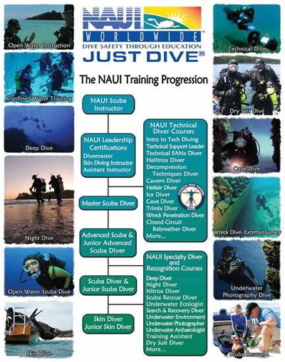 the NAUI scuba diver training progression poster